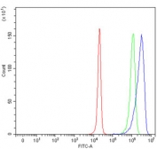 Flow cytometry testing of human HepG2 cells with Cytochrome P450 3A4 antibody at 1ug/million cells (blocked with goat sera); Red=cells alone, Green=isotype control, Blue= Cytochrome P450 3A4 antibody.