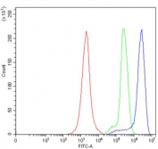 Flow cytometry testing of human Jurkat cells with DMC1 antibody at 1ug/million cells (blocked with goat sera); Red=cells alone, Green=isotype control, Blue= DMC1 antibody.