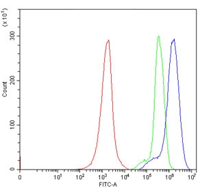 Flow cytometry testing of human Jurkat cells with IRE2 antibody at 1ug/million cells (blocked with goat sera); Red=cells alone, Green=isotype control, Blue= IRE2 antibody.~