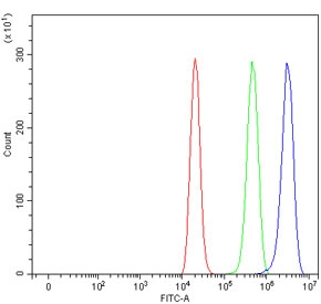 Flow cytometry testing of human ThP-1 cells with FOXL2 antibody at 1ug/million cells (blocked with goat sera); Red=cells alone, Green=isotype control, Blue= FOXL2 antibody.