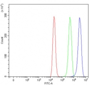 Flow cytometry testing of fixed and permeabilized human ThP-1 cells with FOXL2 antibody at 1ug/million cells (blocked with goat sera); Red=cells alone, Green=isotype control, Blue= FOXL2 antibody.
