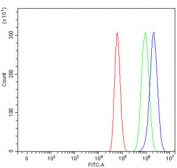 Flow cytometry testing of human U-87 MG cells with TLS antibody at 1ug/million cells (blocked with goat sera); Red=cells alone, Green=isotype control, Blue= TLS antibody.