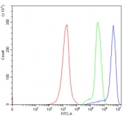 Flow cytometry testing of human Jurkat cells with G3BP1 antibody at 1ug/million cells (blocked with goat sera); Red=cells alone, Green=isotype control, Blue= G3BP1 antibody.