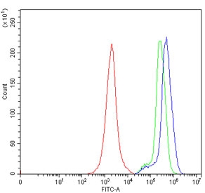 Flow cytometry testing of human Jurkat cells with GAS2 antibody at 1ug/million cells (blocked with goat sera); Red=cells alone, Green=isotype control, Blue= GAS2 antibody.~