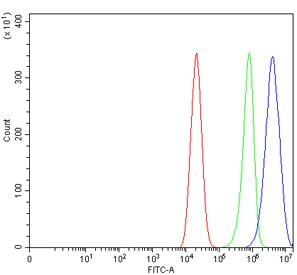 Flow cytometry testing of human Caco-2 cells with GFPT1 antibody at 1ug/million cells (blocked with goat sera); Red=cells alone, Green=isotype control, Blue= GFPT1 antibody.