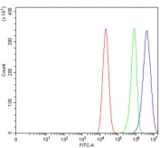 Flow cytometry testing of human Caco-2 cells with GFPT1 antibody at 1ug/million cells (blocked with goat sera); Red=cells alone, Green=isotype control, Blue= GFPT1 antibody.