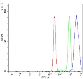 Flow cytometry testing of human MCF7 cells with GRHL2 antibody at 1ug/million cells (blocked with goat sera); Red=cells alone, Green=isotype control, Blue= GRHL2 antibody.