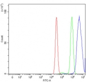 Flow cytometry testing of human MCF7 cells with GRHL2 antibody at 1ug/million cells (blocked with goat sera); Red=cells alone, Green=isotype control, Blue= GRHL2 antibody.