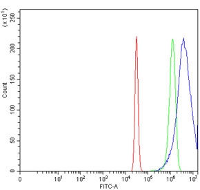 Flow cytometry testing of human HeLa cells with Krueppel-like factor 4 antibody at 1ug/million cells (blocked with goat sera); Red=cells alone, Green=isotype control, Blue= Krueppel-like factor 4 antibody.