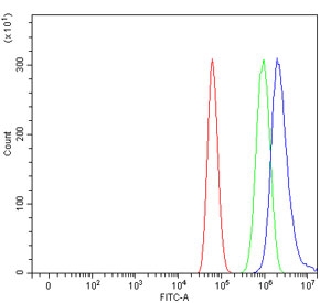 Flow cytometry testing of human U-87 MG cells with Importin subunit alpha-1 antibody at 1ug/million cells (blocked with goat sera); Red=cells alone, Green=isotype control, Blue= Importin subunit alpha-1 antibody.
