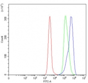 Flow cytometry testing of human Daudi cells with L1RE1 antibody at 1ug/million cells (blocked with goat sera); Red=cells alone, Green=isotype control, Blue= L1RE1 antibody.