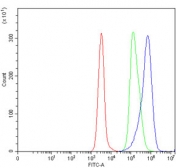 Flow cytometry testing of human Daudi cells with NLRP7 antibody at 1ug/million cells (blocked with goat sera); Red=cells alone, Green=isotype control, Blue= NLRP7 antibody.