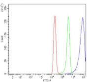 Flow cytometry testing of rat C6 cells with hHR23A antibody at 1ug/million cells (blocked with goat sera); Red=cells alone, Green=isotype control, Blue= hHR23A antibody.