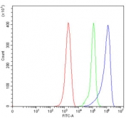 Flow cytometry testing of mouse ANA-1 cells with hHR23A antibody at 1ug/million cells (blocked with goat sera); Red=cells alone, Green=isotype control, Blue= hHR23A antibody.