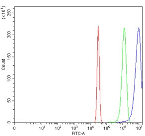 Flow cytometry testing of human HeLa cells with hHR23A antibody at 1ug/million cells (blocked with goat sera); Red=cells alone, Green=isotype control, Blue= hHR23A antibody.