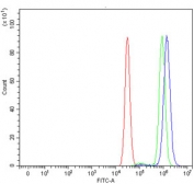 Flow cytometry testing of human MCF7 cells with RPS6KB1 antibody at 1ug/million cells (blocked with goat sera); Red=cells alone, Green=isotype control, Blue= RPS6KB1 antibody.