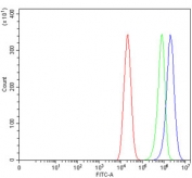 Flow cytometry testing of human Caco-2 cells with RRS1 antibody at 1ug/million cells (blocked with goat sera); Red=cells alone, Green=isotype control, Blue= RRS1 antibody.