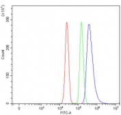 Flow cytometry testing of human U937 cells with SLAMF1 antibody at 1ug/million cells (blocked with goat sera); Red=cells alone, Green=isotype control, Blue= SLAMF1 antibody.