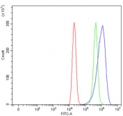 Flow cytometry testing of human ThP-1 cells with SLC6A3 antibody at 1ug/million cells (blocked with goat sera); Red=cells alone, Green=isotype control, Blue= SLC6A3 antibody.