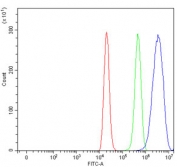Flow cytometry testing of human ThP-1 cells with SPI1 antibody at 1ug/million cells (blocked with goat sera); Red=cells alone, Green=isotype control, Blue= SPI1 antibody.