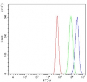 Flow cytometry testing of fixed and permeabilized human U-87 MG cells with GDP-L-fucose synthase antibody at 1ug/million cells (blocked with goat sera); Red=cells alone, Green=isotype control, Blue= GDP-L-fucose synthase antibody.