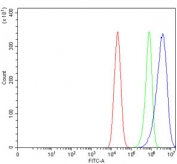 Flow cytometry testing of human Caco-2 cells with ZNF609 antibody at 1ug/million cells (blocked with goat sera); Red=cells alone, Green=isotype control, Blue= ZNF609 antibody.