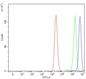 Flow cytometry testing of human Caco-2 cells with P Glycoprotein antibody at 1ug/million cells (blocked with goat sera); Red=cells alone, Green=isotype control, Blue= P Glycoprotein antibody.