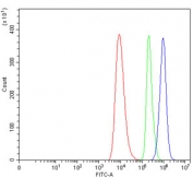 Flow cytometry testing of human HEL cells with NDUFB8 antibody at 1ug/million cells (blocked with goat sera); Red=cells alone, Green=isotype control, Blue= NDUFB8 antibody.