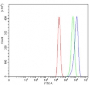 Flow cytometry testing of human ThP-1 cells with Neurotensin Receptor 1 antibody at 1ug/million cells (blocked with goat sera); Red=cells alone, Green=isotype control, Blue= Neurotensin Receptor 1 antibody.