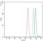 Flow cytometry testing of human ThP-1 cells with TAF1 antibody at 1ug/million cells (blocked with goat sera); Red=cells alone, Green=isotype control, Blue= TAF1 antibody.