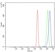 Flow cytometry testing of human SiHa cells with Placental Alkaline Phosphatase antibody at 1ug/million cells (blocked with goat sera); Red=cells alone, Green=isotype control, Blue= Placental Alkaline Phosphatase antibody.