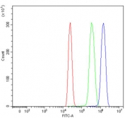 Flow cytometry testing of human HL60 cells with LARG antibody at 1ug/million cells (blocked with goat sera); Red=cells alone, Green=isotype control, Blue= LARG antibody.