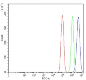 Flow cytometry testing of human PC-3 cells with BECN1 antibody at 1ug/million cells (blocked with goat sera); Red=cells alone, Green=isotype control, Blue= BECN1 antibody.