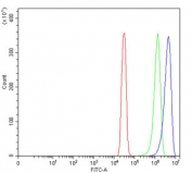 Flow cytometry testing of human SiHa cells with Emmprin antibody at 1ug/million cells (blocked with goat sera); Red=cells alone, Green=isotype control, Blue= Emmprin antibody.