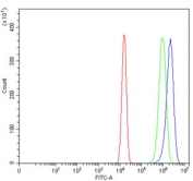 Flow cytometry testing of human U-2 OS cells with Sorbitol Dehydrogenase antibody at 1ug/million cells (blocked with goat sera); Red=cells alone, Green=isotype control, Blue= Sorbitol Dehydrogenase antibody.