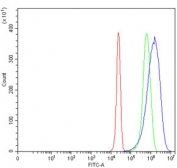 Flow cytometry testing of human HepG2 cells with DAB2 antibody at 1ug/million cells (blocked with goat sera); Red=cells alone, Green=isotype control, Blue= DAB2 antibody.