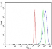 Flow cytometry testing of human HepG2 cells with DAB2 antibody at 1ug/million cells (blocked with goat sera); Red=cells alone, Green=isotype control, Blue= DAB2 antibody.