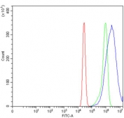 Flow cytometry testing of human K562 cells with Caspase-9 antibody at 1ug/million cells (blocked with goat sera); Red=cells alone, Green=isotype control, Blue= Caspase-9 antibody.