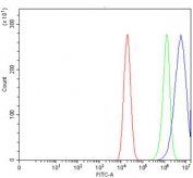 Flow cytometry testing of human Caco-2 cells with Caspase-9 antibody at 1ug/million cells (blocked with goat sera); Red=cells alone, Green=isotype control, Blue= Caspase-9 antibody.