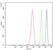 Flow cytometry testing of mouse RAW264.7 cells with Early growth response protein 1 antibody at 1ug/million cells (blocked with goat sera); Red=cells alone, Green=isotype control, Blue= Early growth response protein 1 antibody.