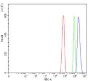 Flow cytometry testing of rat RH35 cells with Eukaryotic translation initiation factor 5A-1 antibody at 1ug/million cells (blocked with goat sera); Red=cells alone, Green=isotype control, Blue= Eukaryotic translation initiation factor 5A-1 antibody.