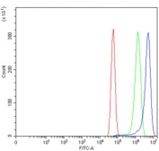 Flow cytometry testing of human U-87 MG cells with Uridylate-specific endoribonuclease antibody at 1ug/million cells (blocked with goat sera); Red=cells alone, Green=isotype control, Blue= Uridylate-specific endoribonuclease antibody.