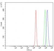 Flow cytometry testing of human HepG2 cells with PC-1 antibody at 1ug/million cells (blocked with goat sera); Red=cells alone, Green=isotype control, Blue= PC-1 antibody.