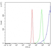 Flow cytometry testing of human K562 cells with PRMT3 antibody at 1ug/million cells (blocked with goat sera); Red=cells alone, Green=isotype control, Blue= PRMT3 antibody.