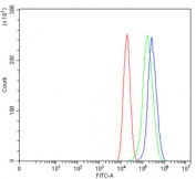 Flow cytometry testing of human Caco-2 cells with Intercellular adhesion molecule 1 antibody at 1ug/million cells (blocked with goat sera); Red=cells alone, Green=isotype control, Blue= Intercellular adhesion molecule 1 antibody.