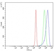 Flow cytometry testing of human HepG2 cells with MT-ND6 antibody at 1ug/million cells (blocked with goat sera); Red=cells alone, Green=isotype control, Blue= MT-ND6 antibody.