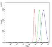 Flow cytometry testing of human U-87 MG cells with Neuropilin 1 antibody at 1ug/million cells (blocked with goat sera); Red=cells alone, Green=isotype control, Blue= Neuropilin 1 antibody.