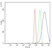 Flow cytometry testing of human U-87 MG cells with NRP1 antibody at 1ug/million cells (blocked with goat sera); Red=cells alone, Green=isotype control, Blue= NRP1 antibody.