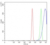 Flow cytometry testing of human SiHa cells with PDIA6 antibody at 1ug/million cells (blocked with goat sera); Red=cells alone, Green=isotype control, Blue= PDIA6 antibody.