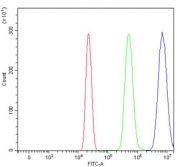 Flow cytometry testing of human HL60 cells with PLEK antibody at 1ug/million cells (blocked with goat sera); Red=cells alone, Green=isotype control, Blue= PLEK antibody.